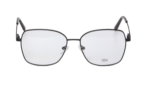 ODV   ODV12100 4