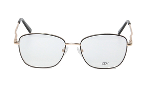 ODV   ODV12101 1