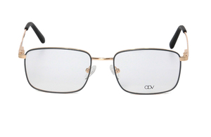 ODV   ODV11100 C4